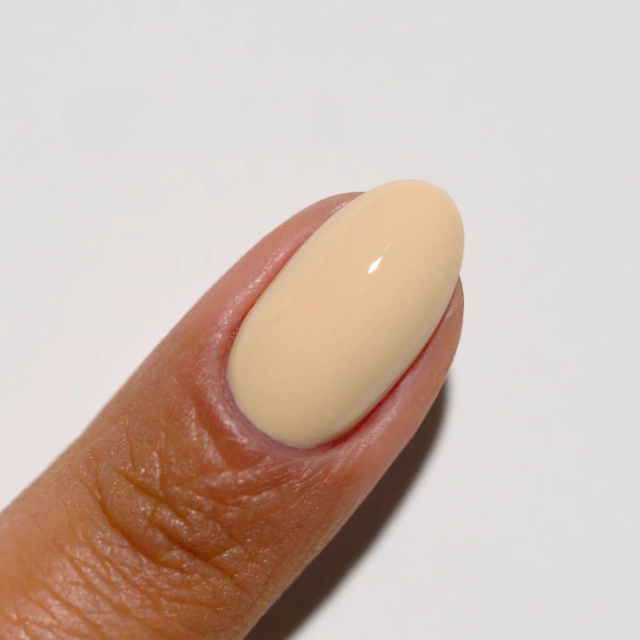 Biscuits N' Honey DIVA #052 - Image 3