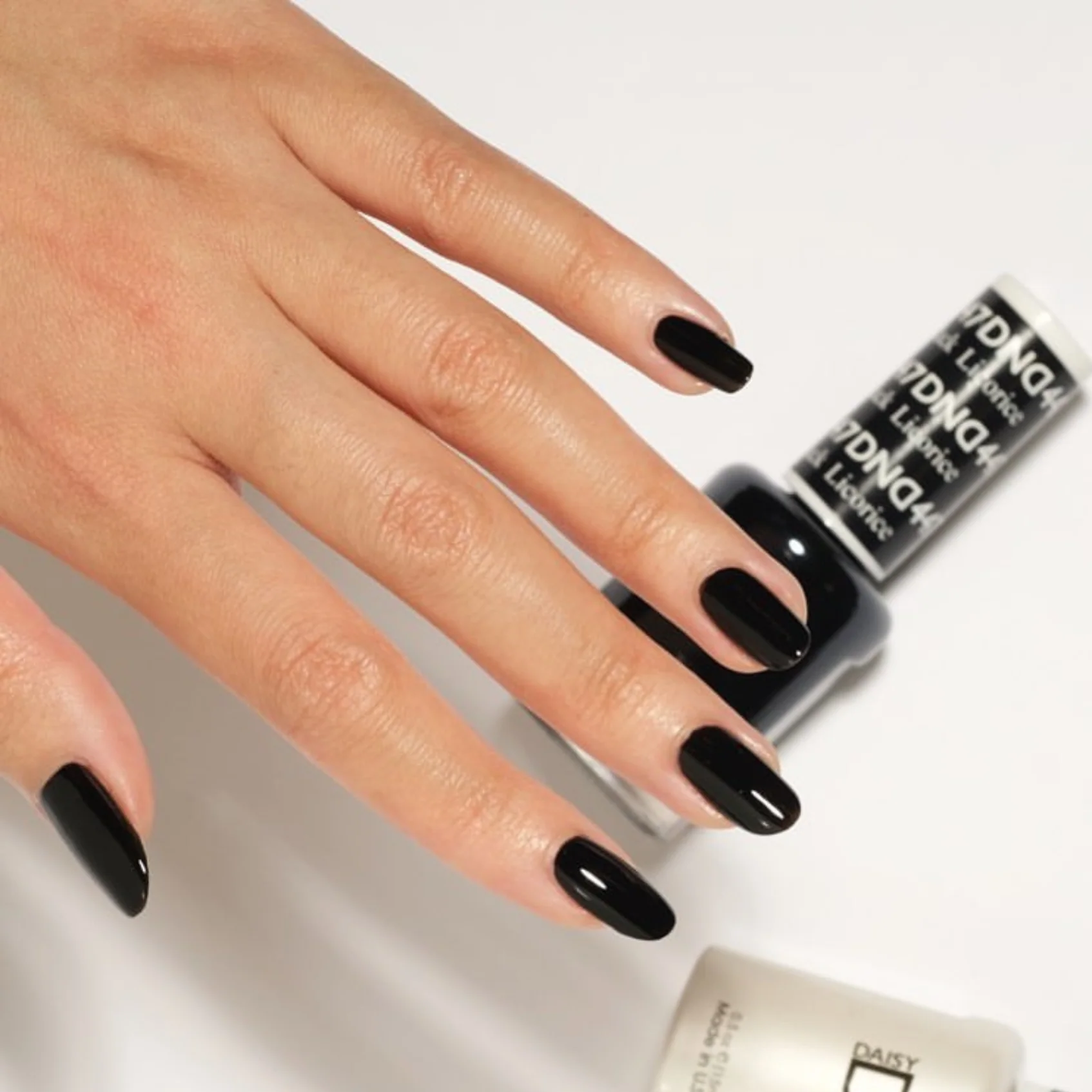 Black Licorice #447 - Image 2