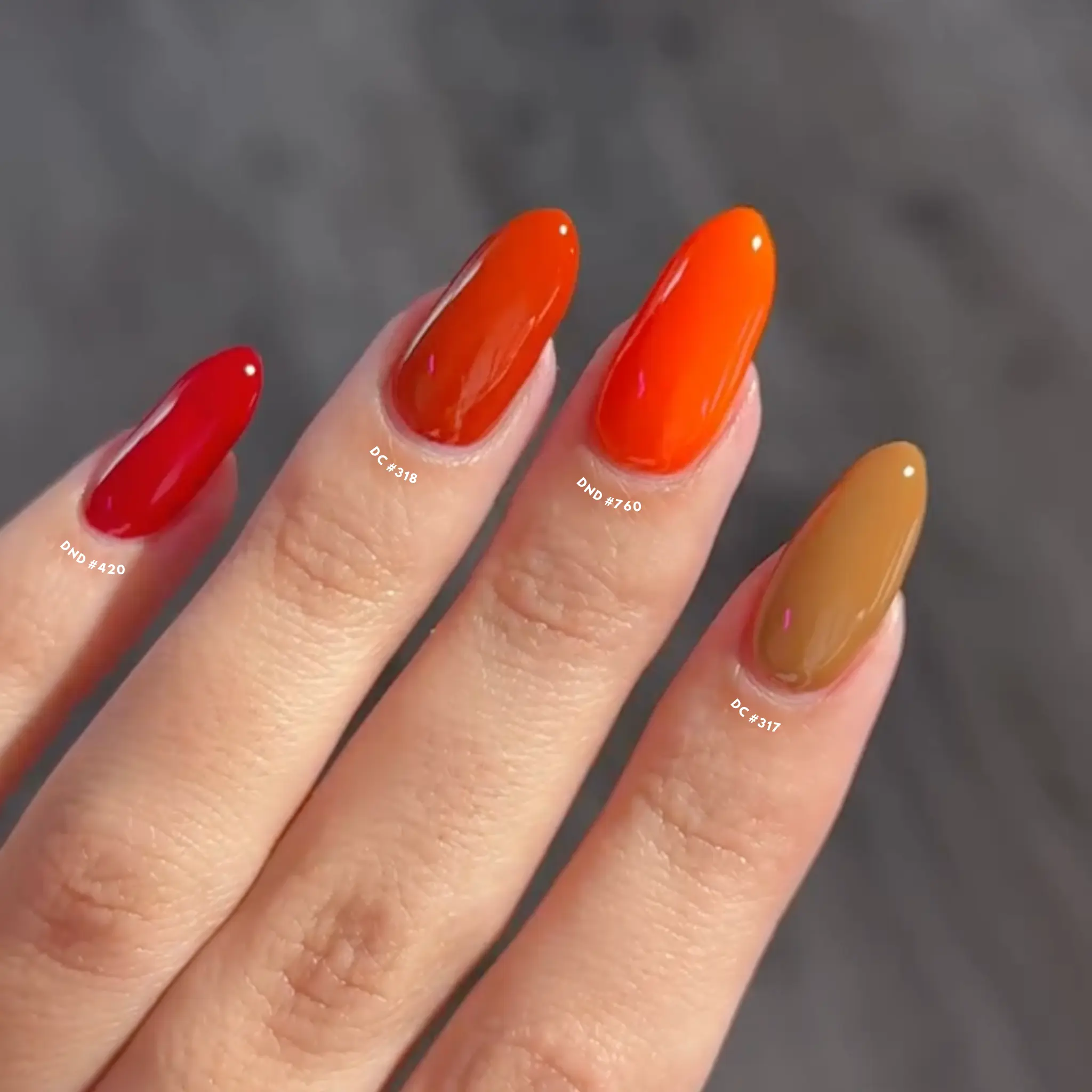 Russet Orange #760 - Image 4
