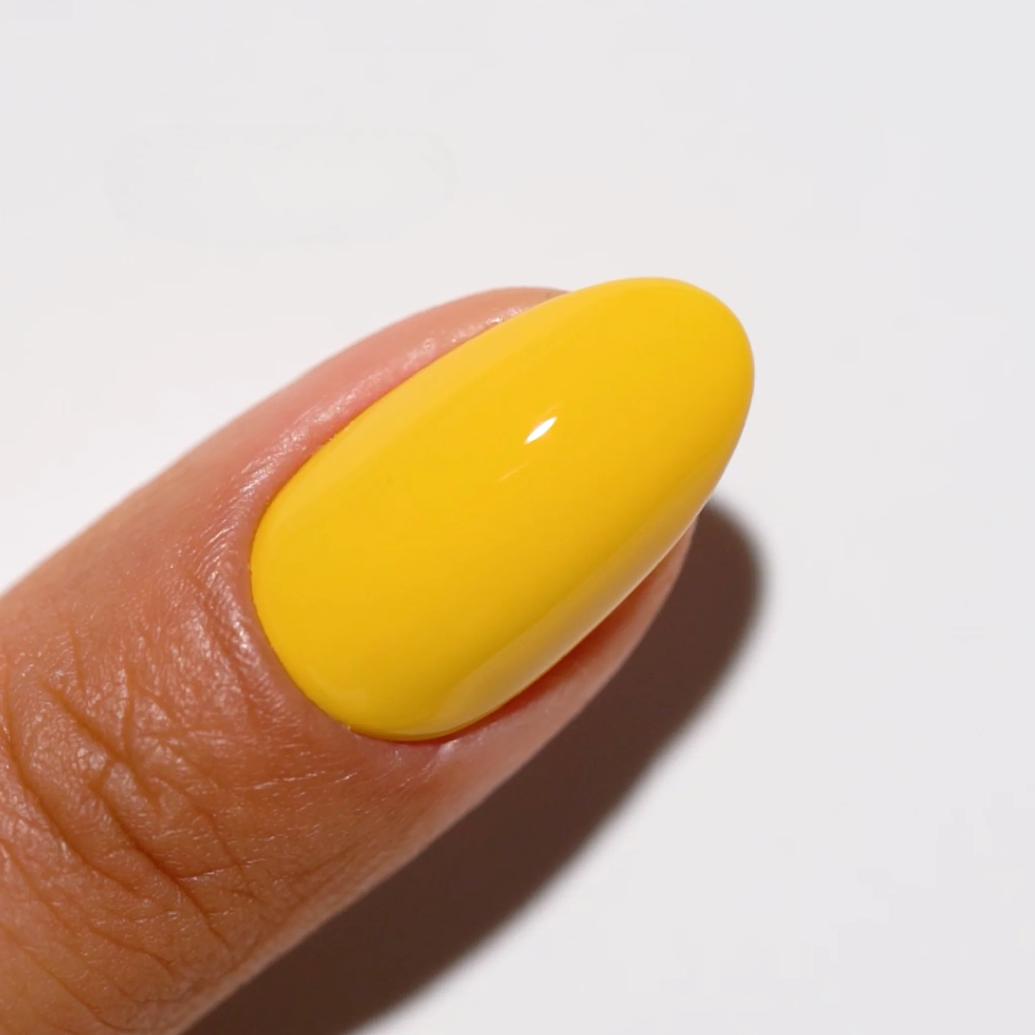 Buttered Corn #746 - Image 4