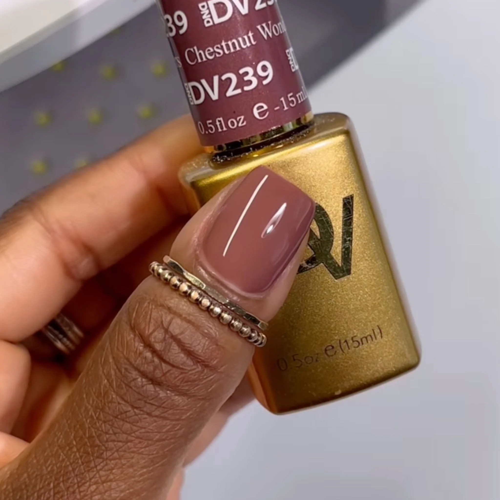 Chestnut Wonders DIVA #239 - Image 2