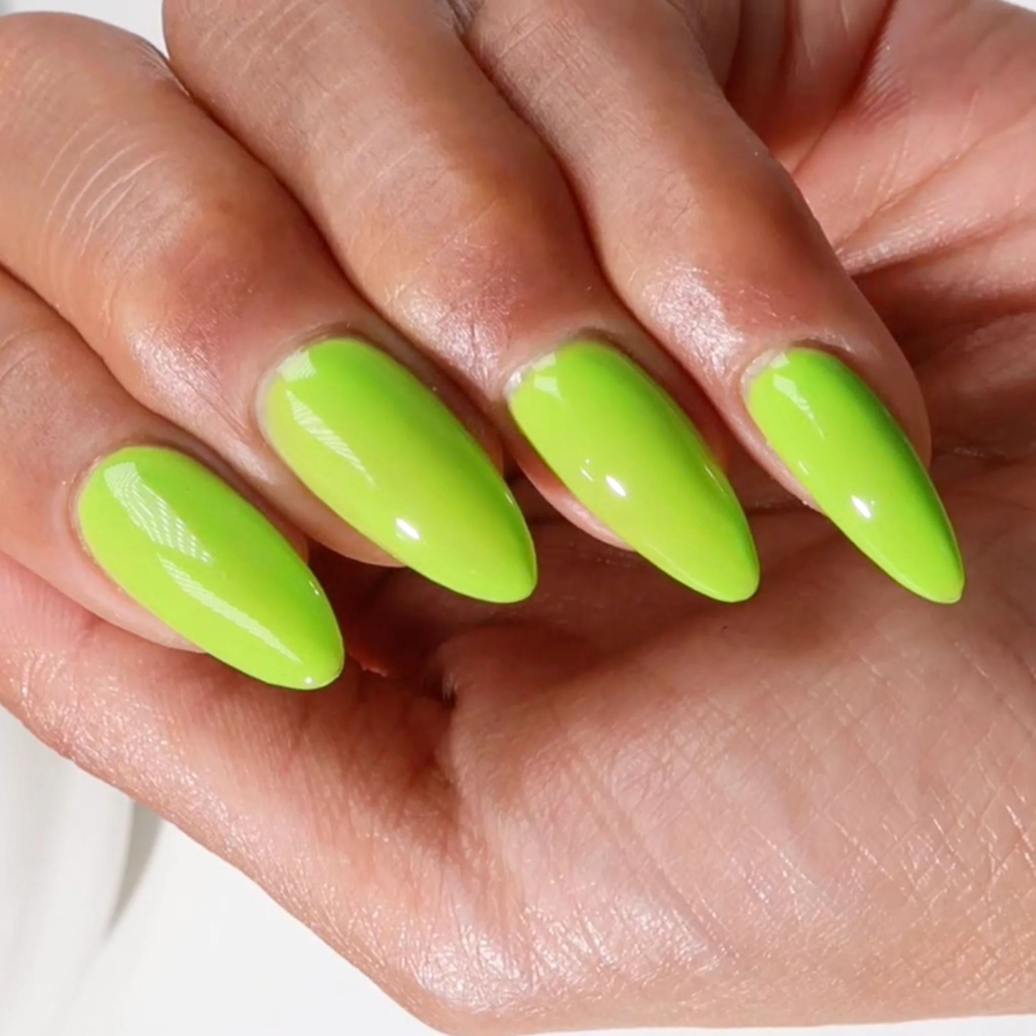 Wasabi Baby DIVA #279 - Image 6