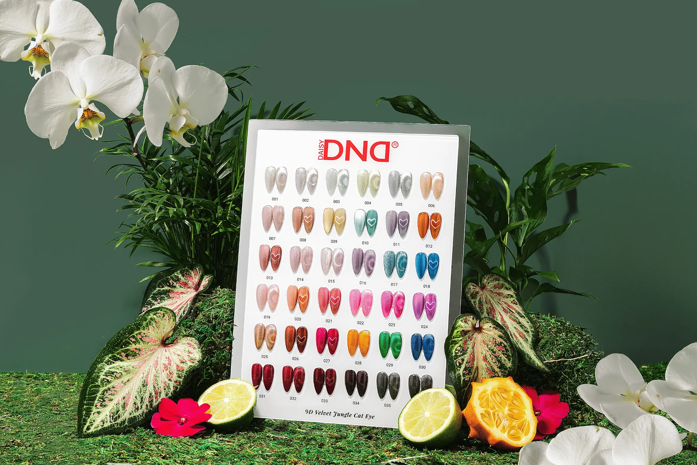 DND 9D Cat Eye Velvet Jungle Collection — 36 Set - Image 2