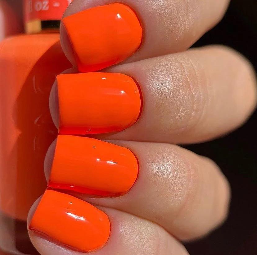 Dutch Orange #010 - Image 2