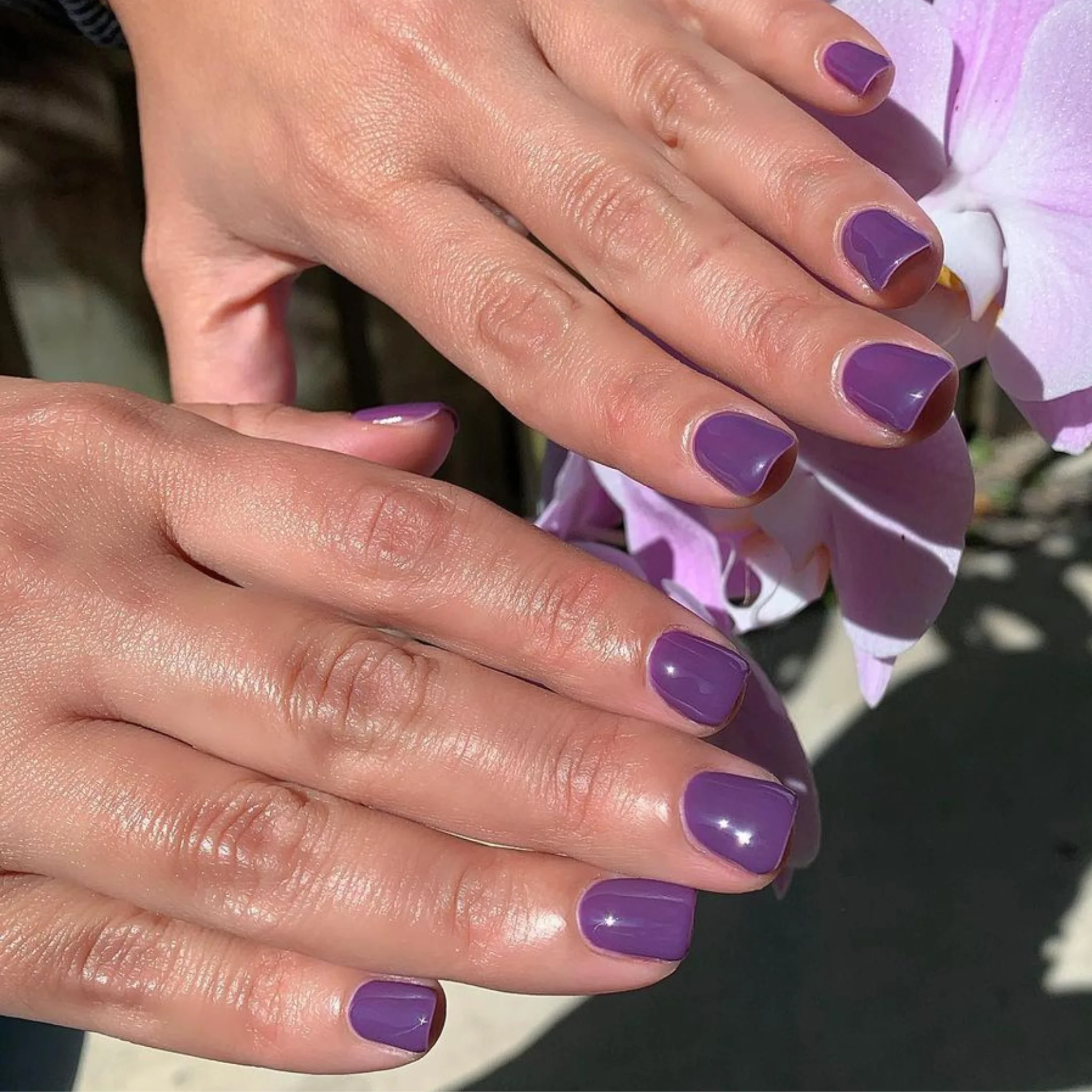 Electric Purple #048 - Image 2