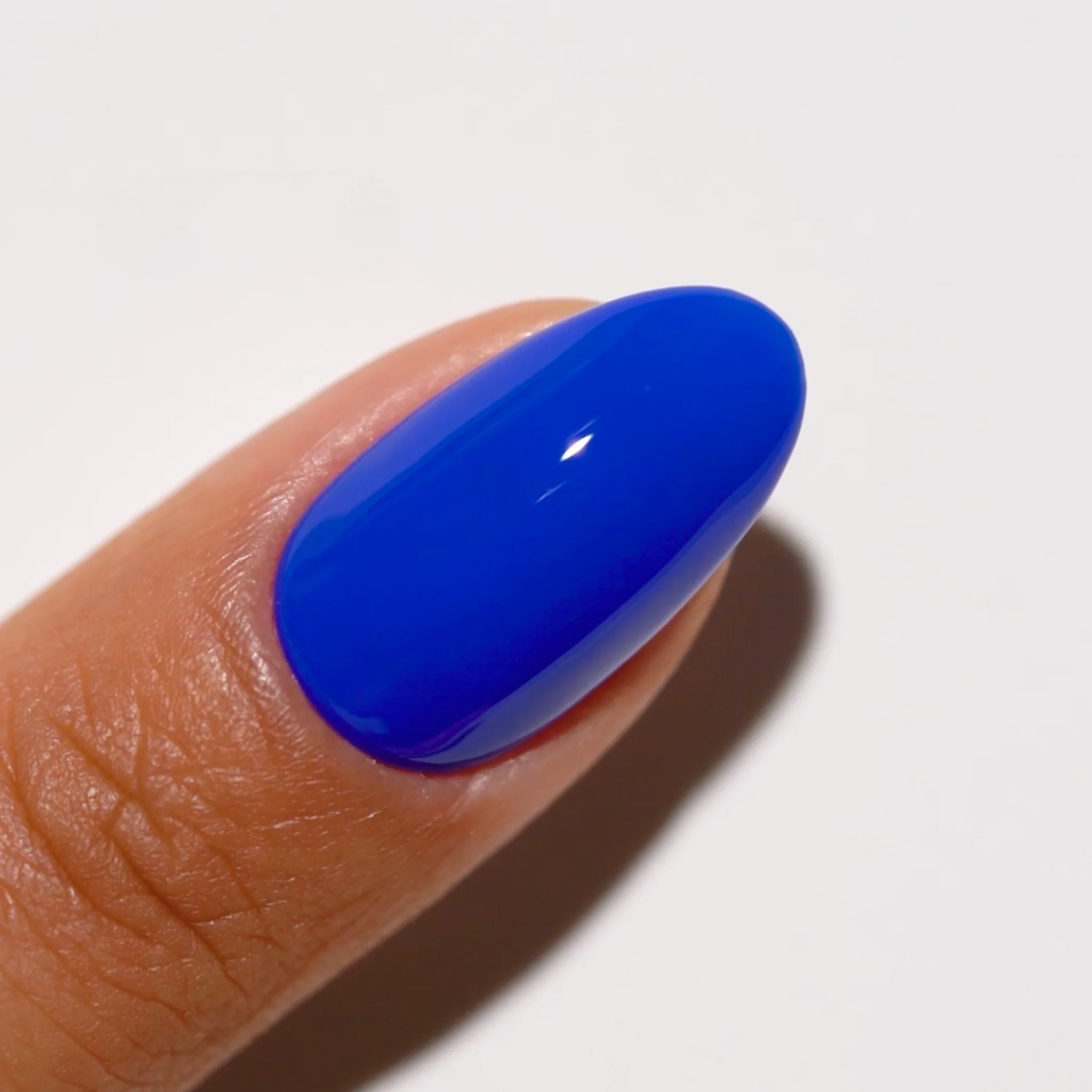 Berry Blue #734 - Image 5