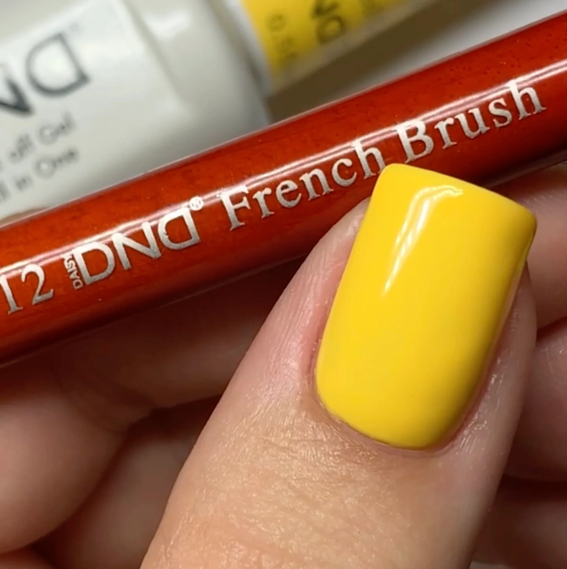 French Brush #10 - Image 6