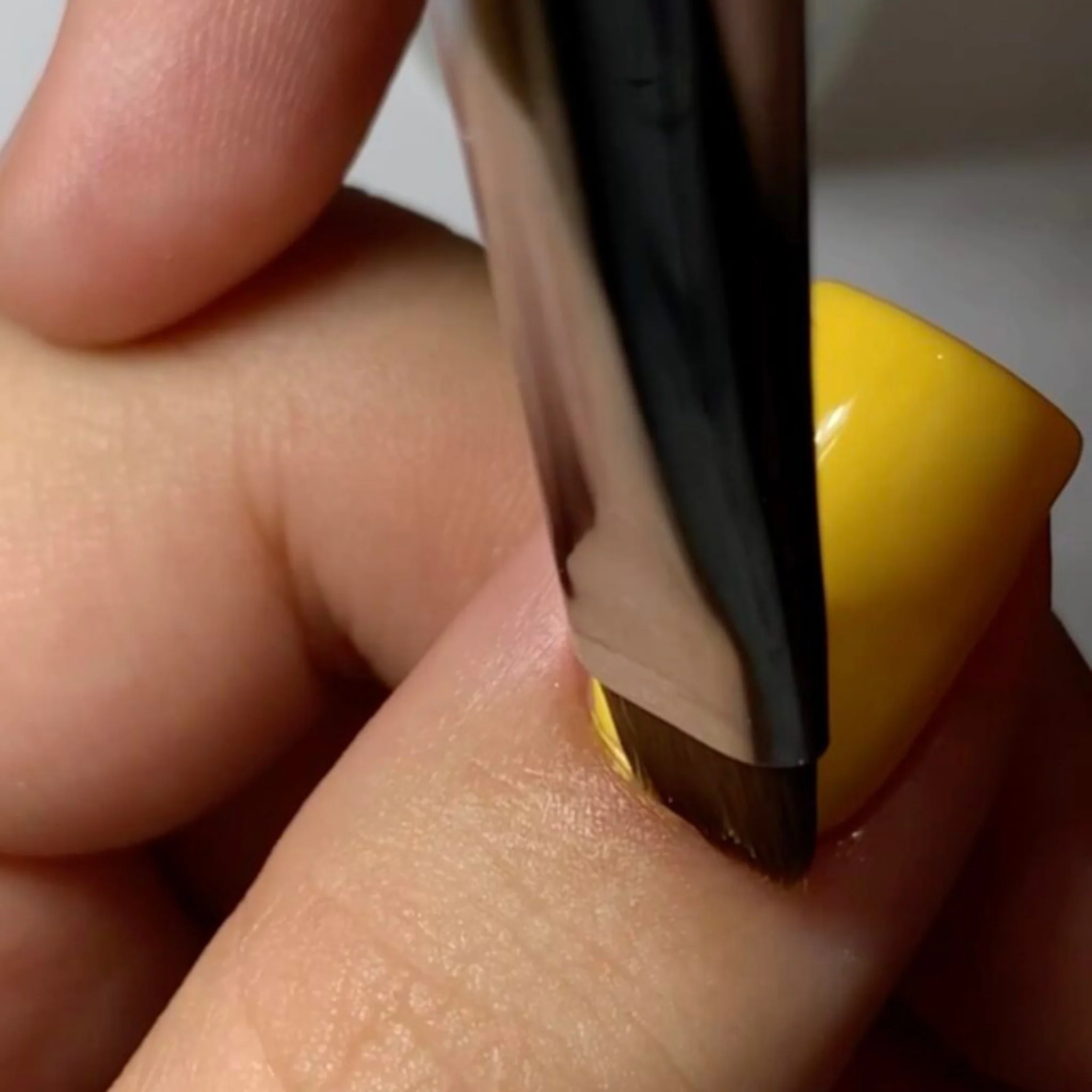 French Brush #12 - Image 4