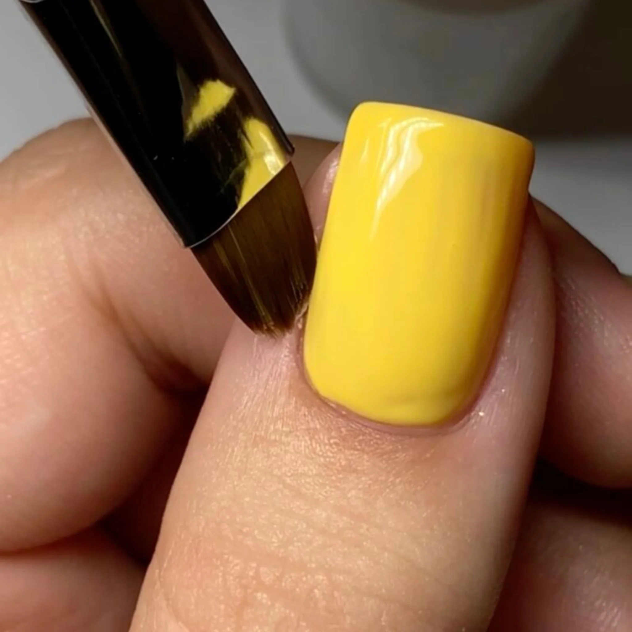 French Brush #12 - Image 5