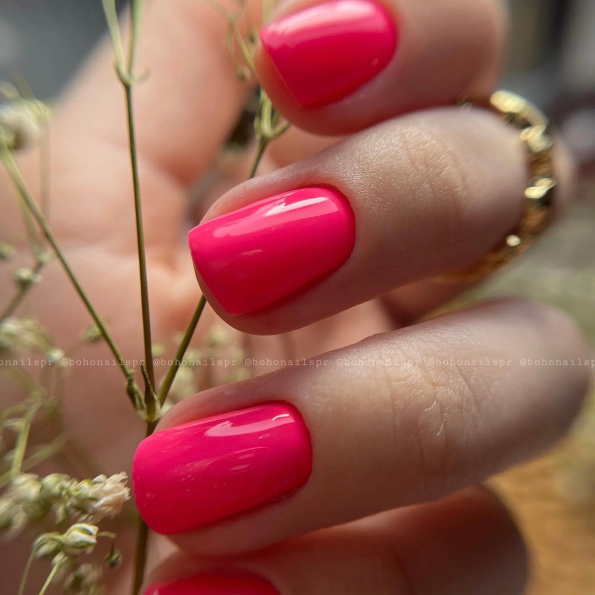 Fuchsia Touch #643 - Image 2
