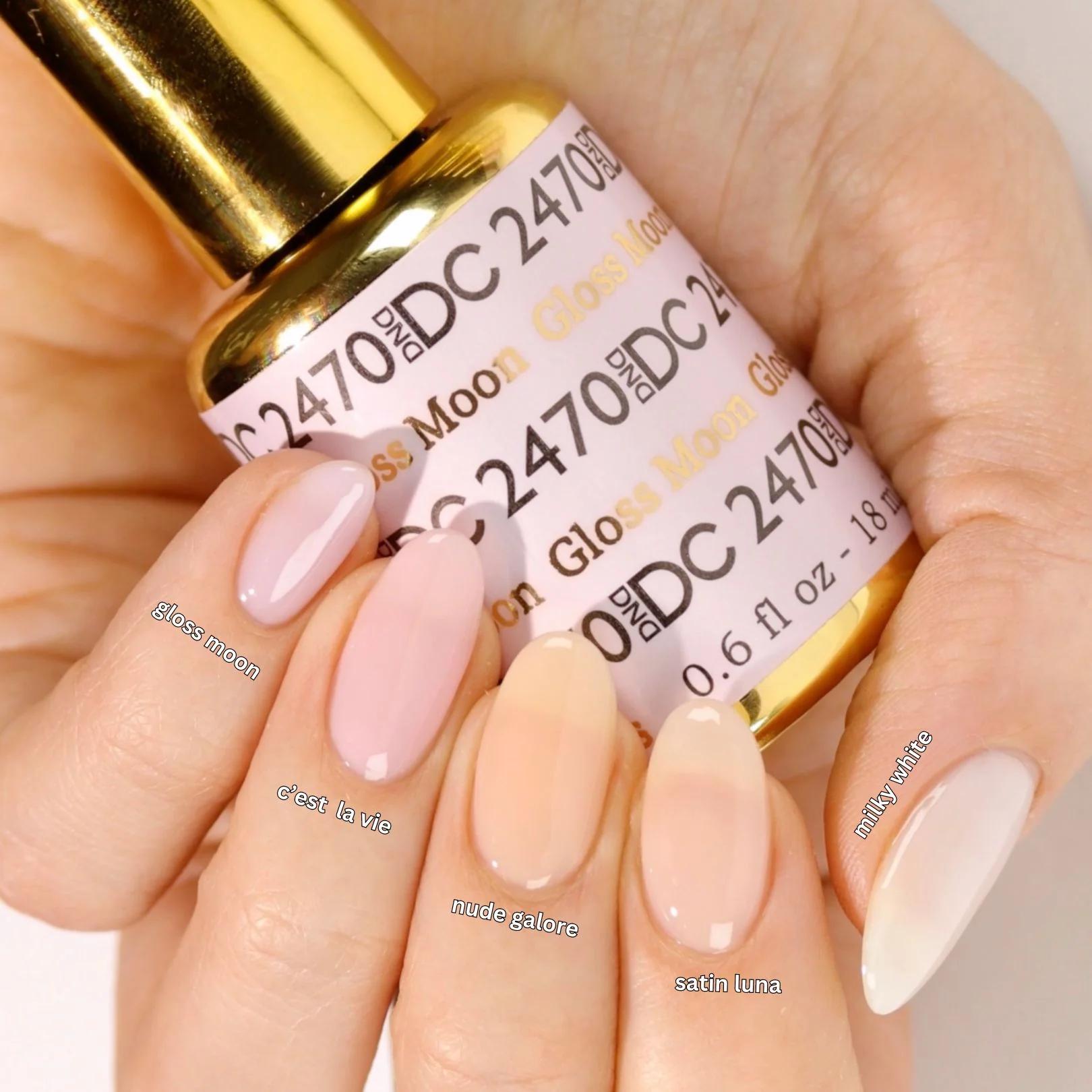 DC Sheer Collection - 36 Set - Image 6