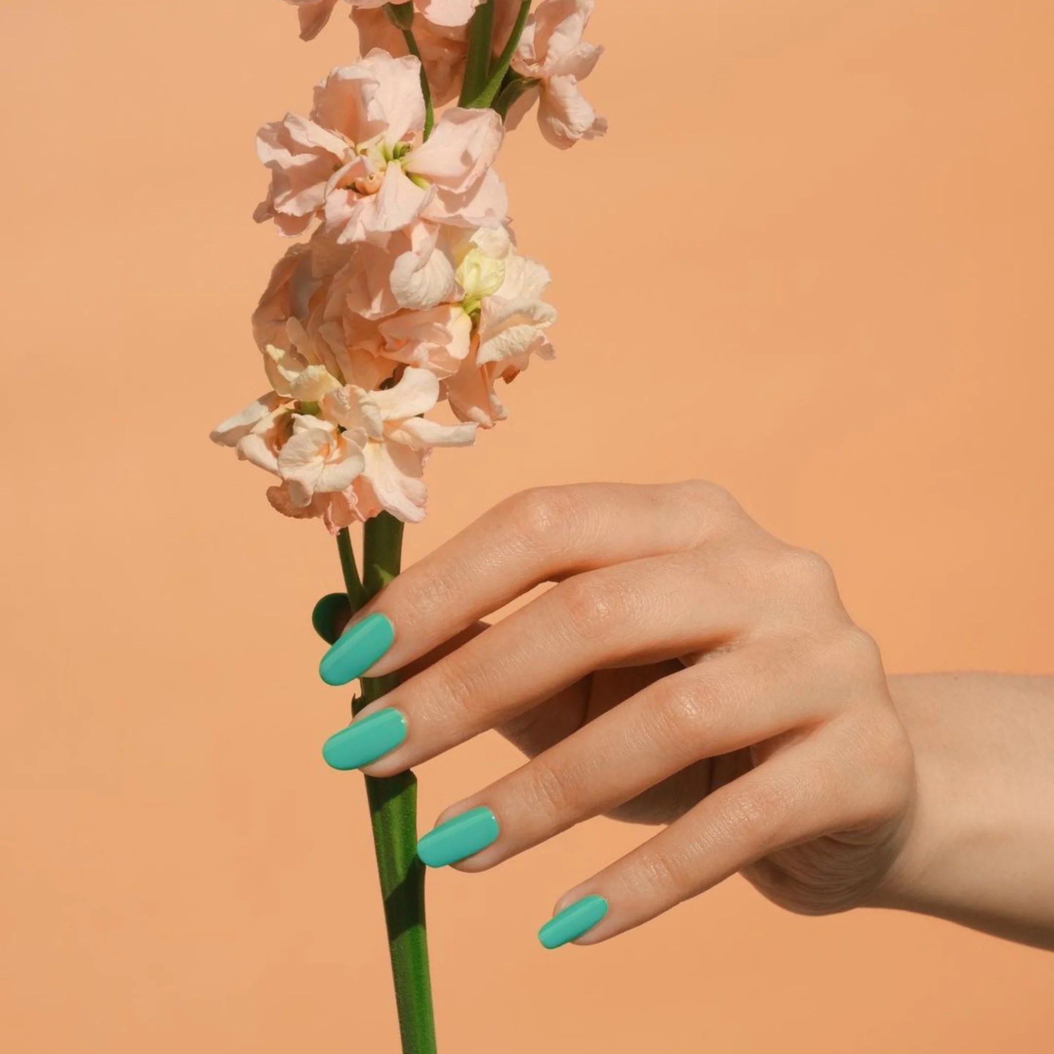 Green Spring #569 - Image 2