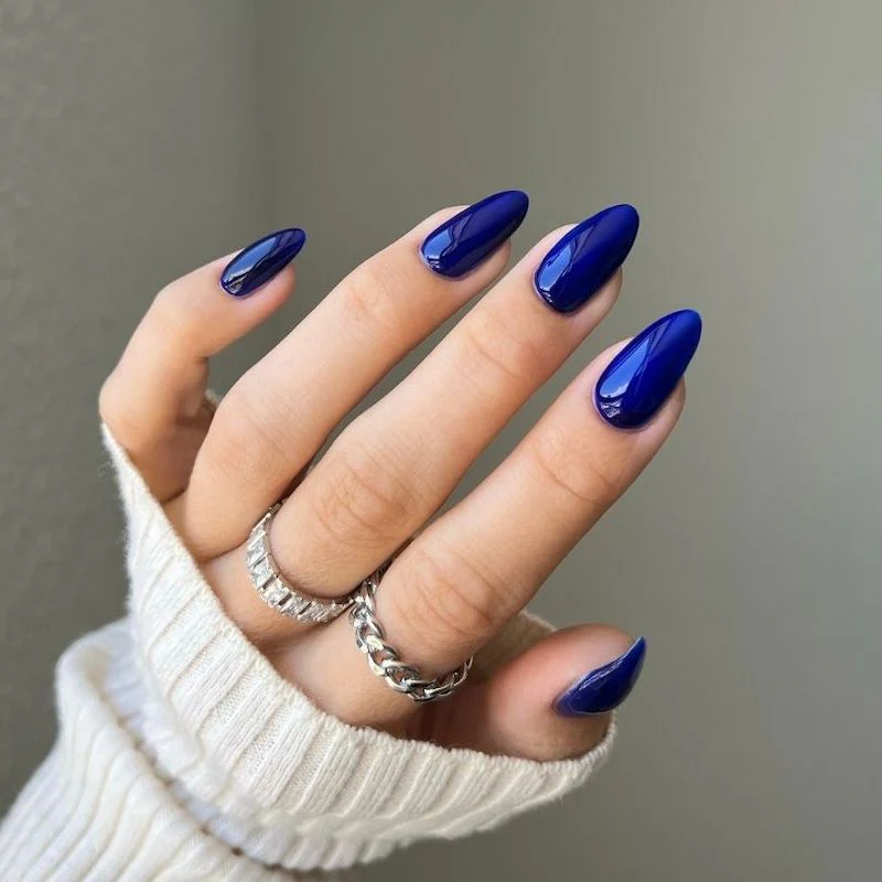 Jelly Marine DIVA #247 - Image 2