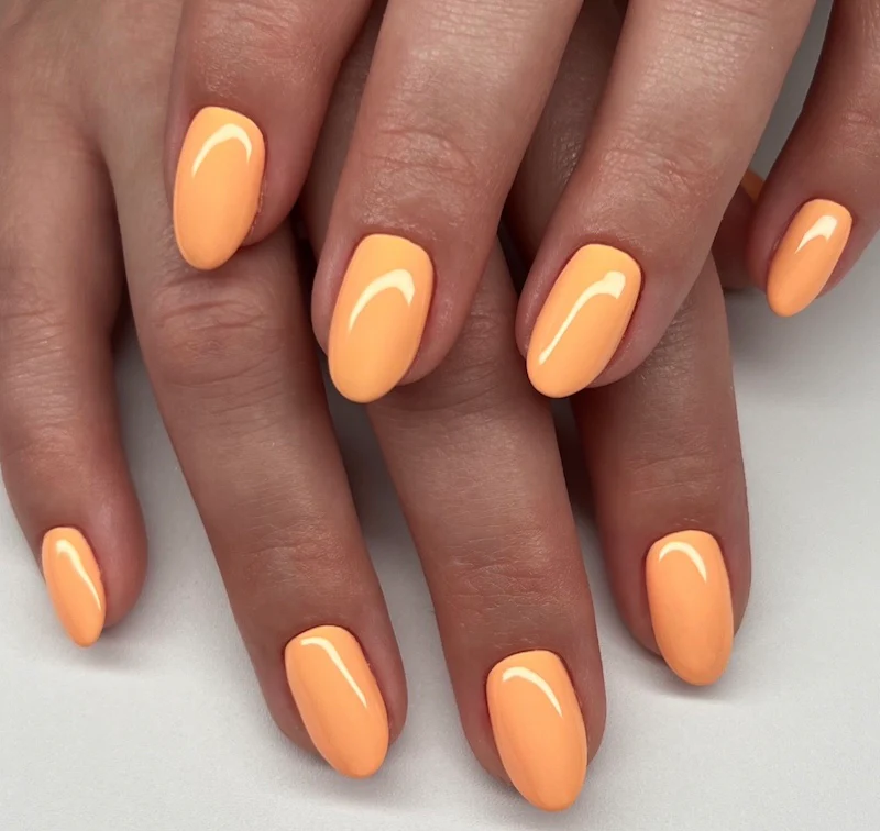 Mandarin Glow #2538 - Image 2