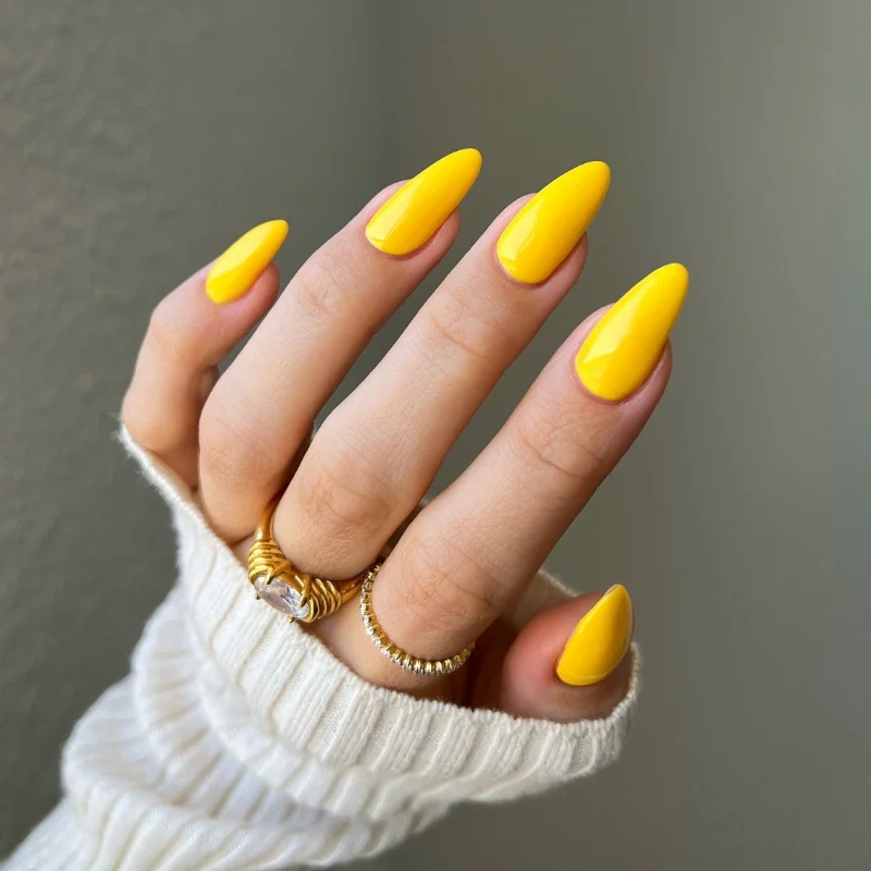 Marigold DIVA #204 - Image 2