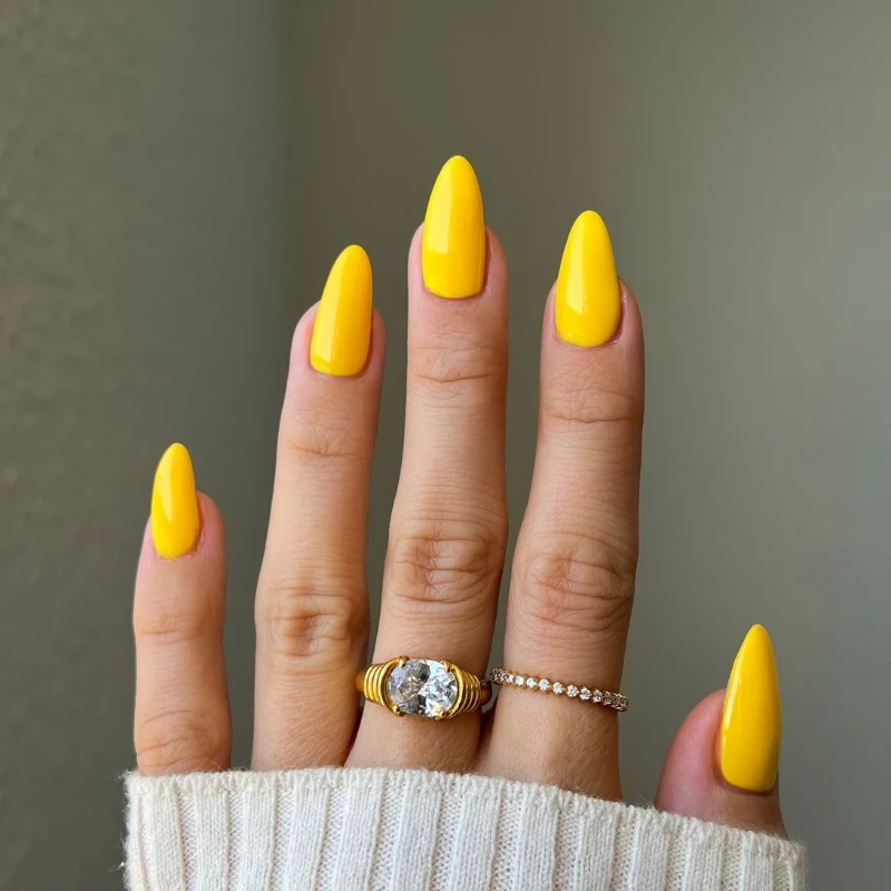 Marigold DIVA #204 - Image 3