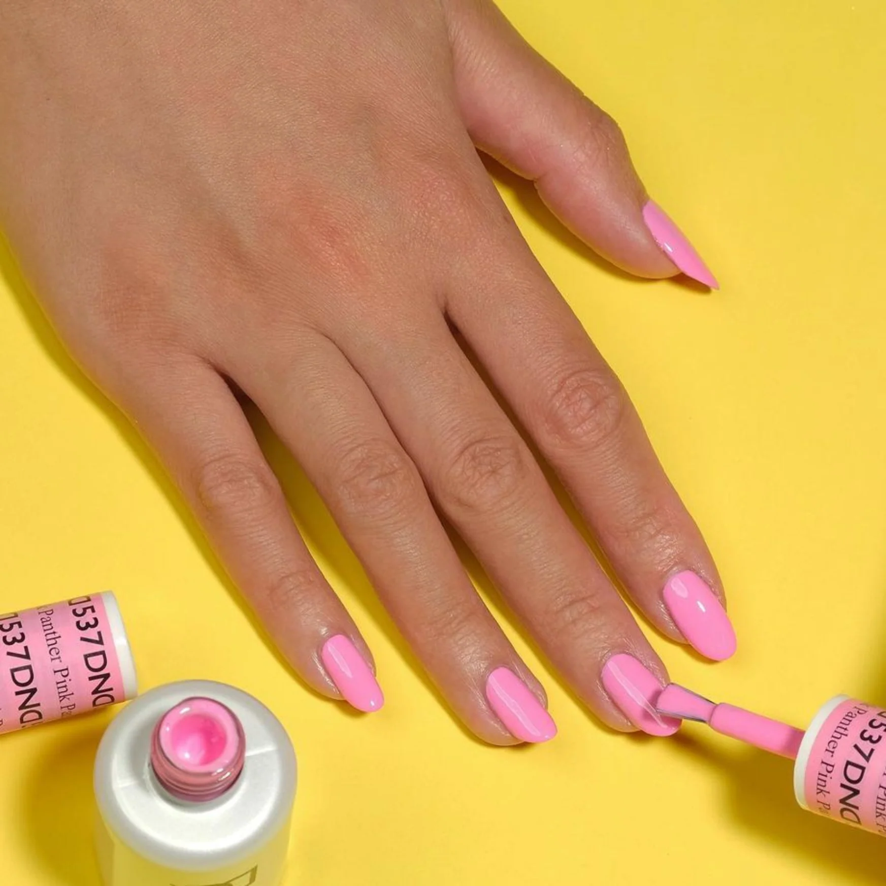 Panther Pink #537 - Image 2