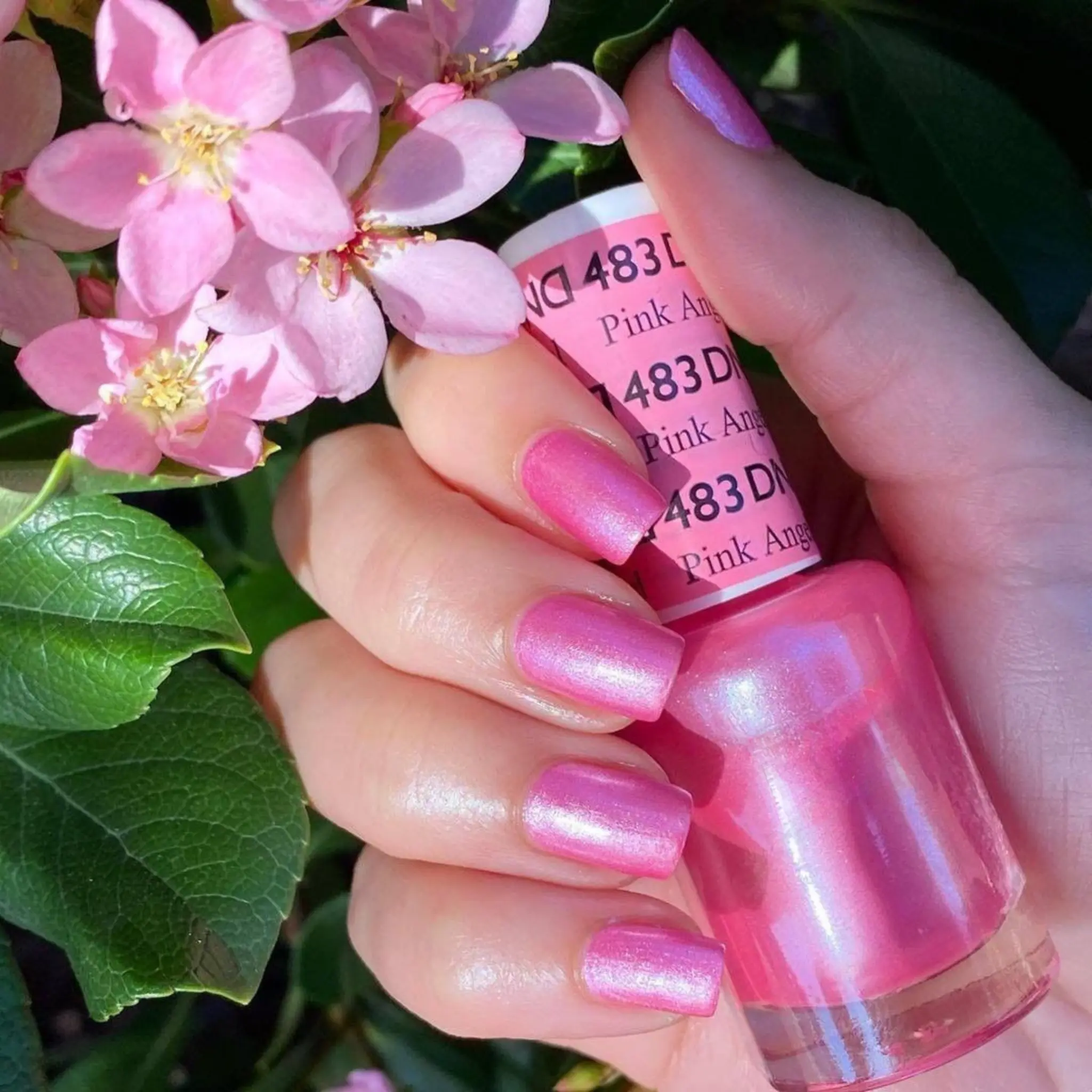 Pink Angel #483 - Image 3