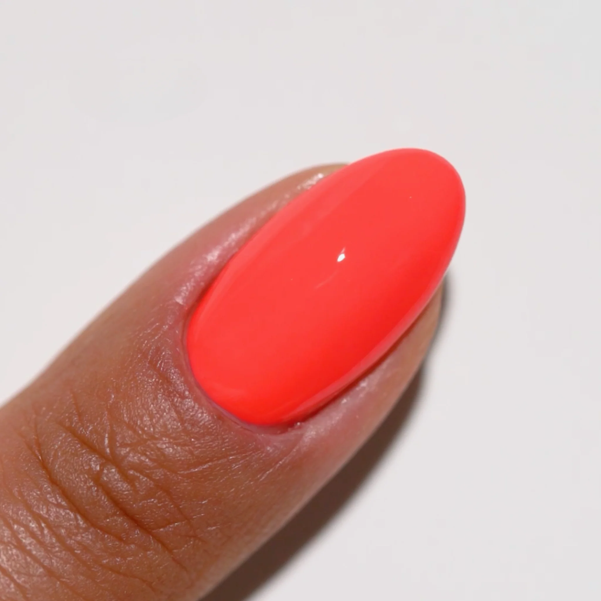 Guava #811 - Image 3
