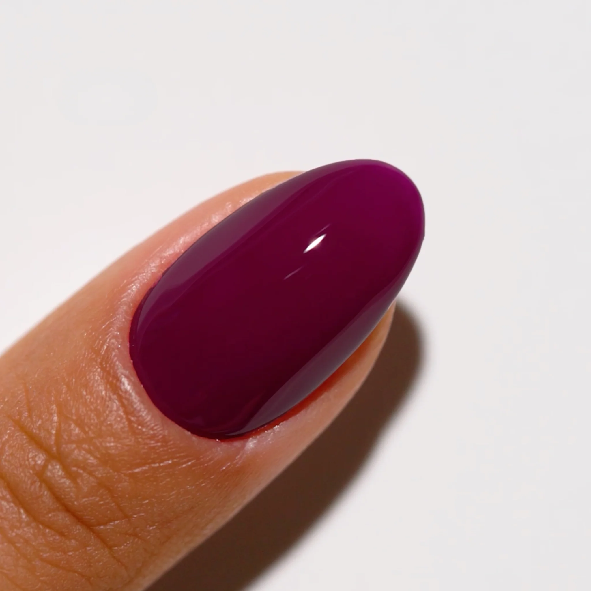 Plum #731 - Image 2