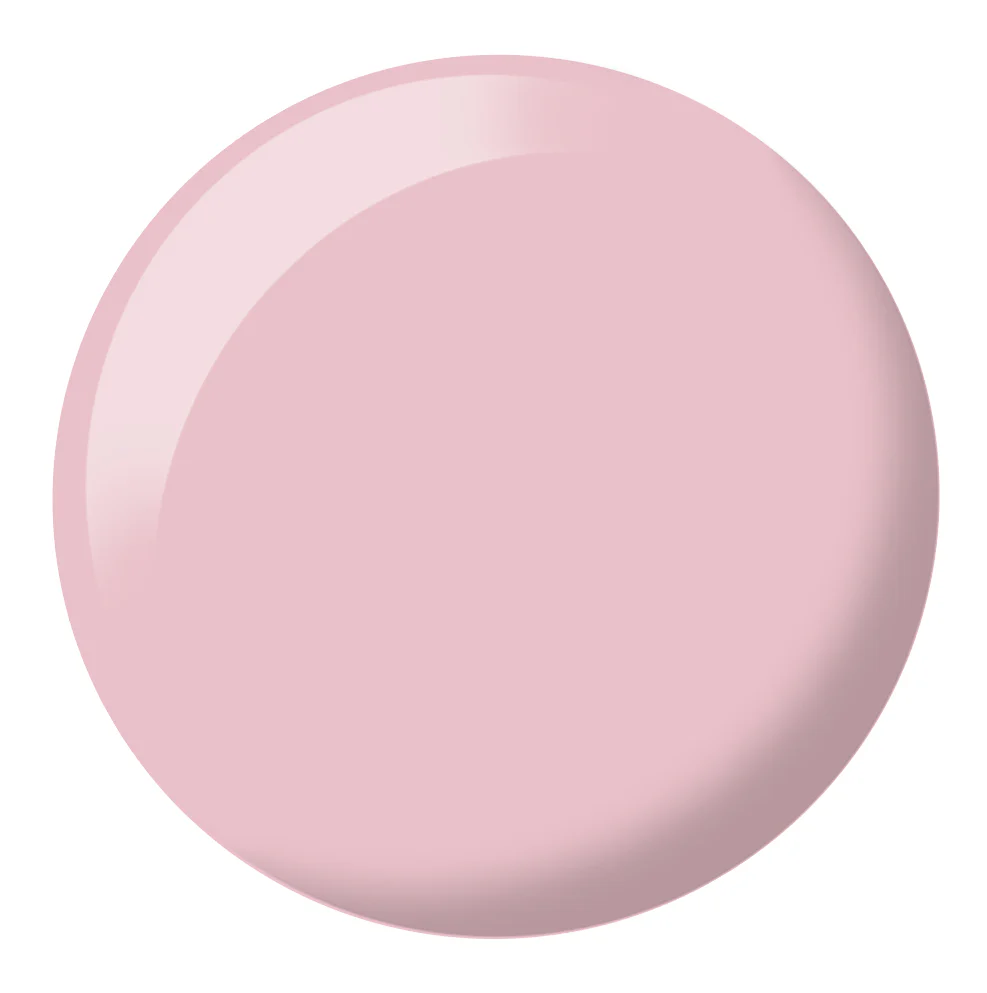 Rock "N" Rose #451