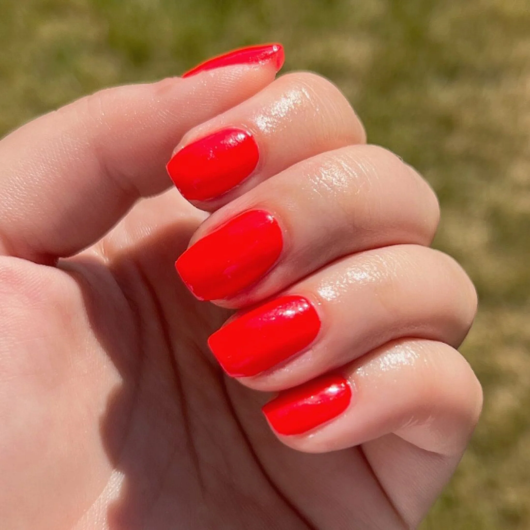 Striking Red #474 - Image 2