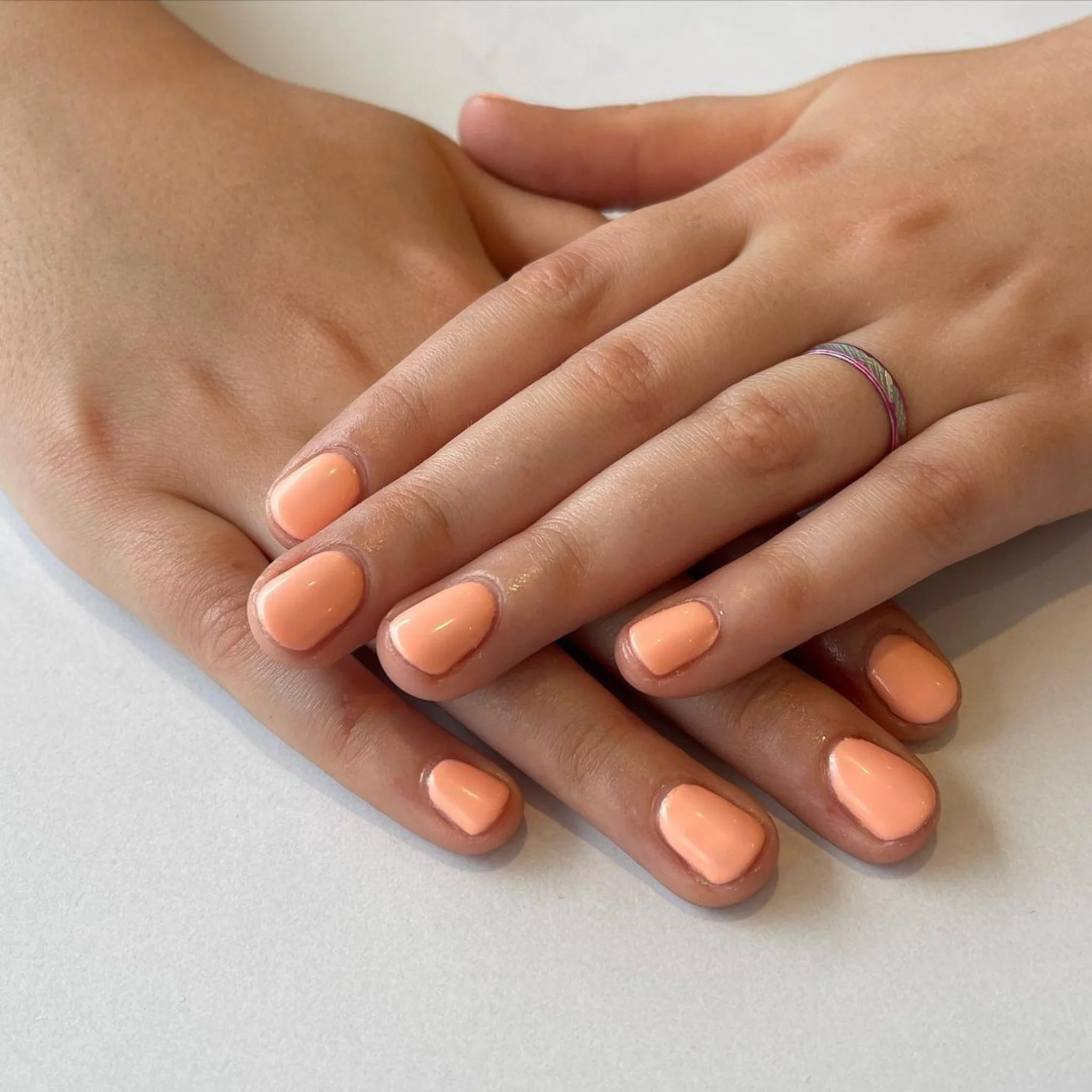 Sweet Apricot #619 - Image 4