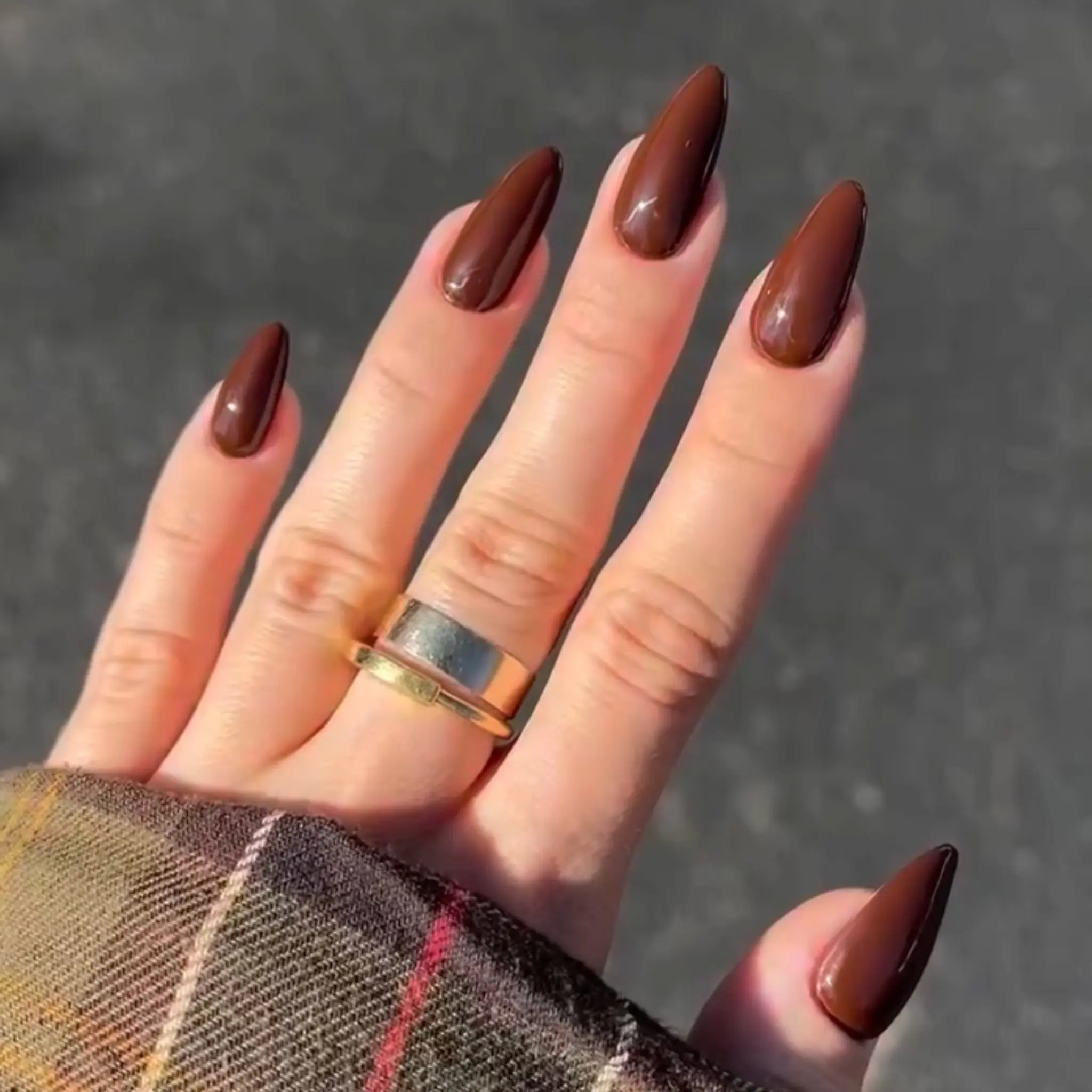 Walnut Brown #052 - Image 11
