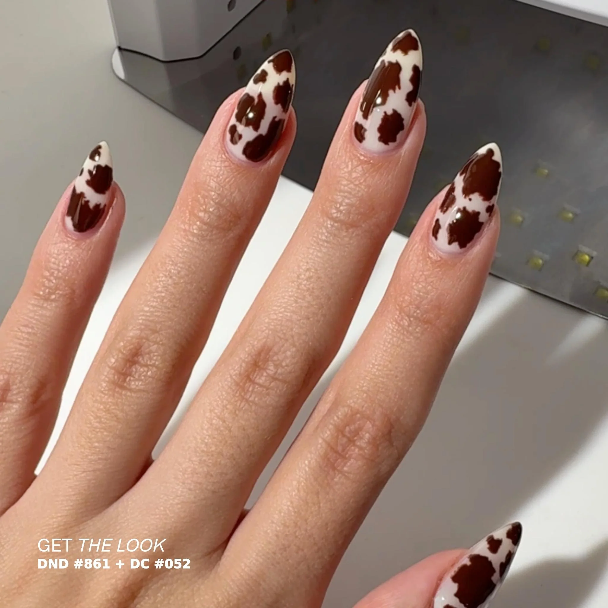Walnut Brown #052 - Image 12